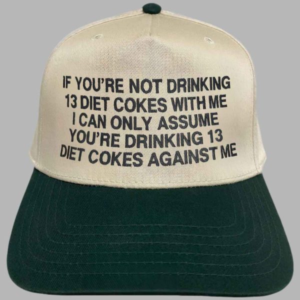 If Youre Not Drinking 13 DCs With Me I Can Only Assume Youre Drinking 13 DCs Against Me Hat 2