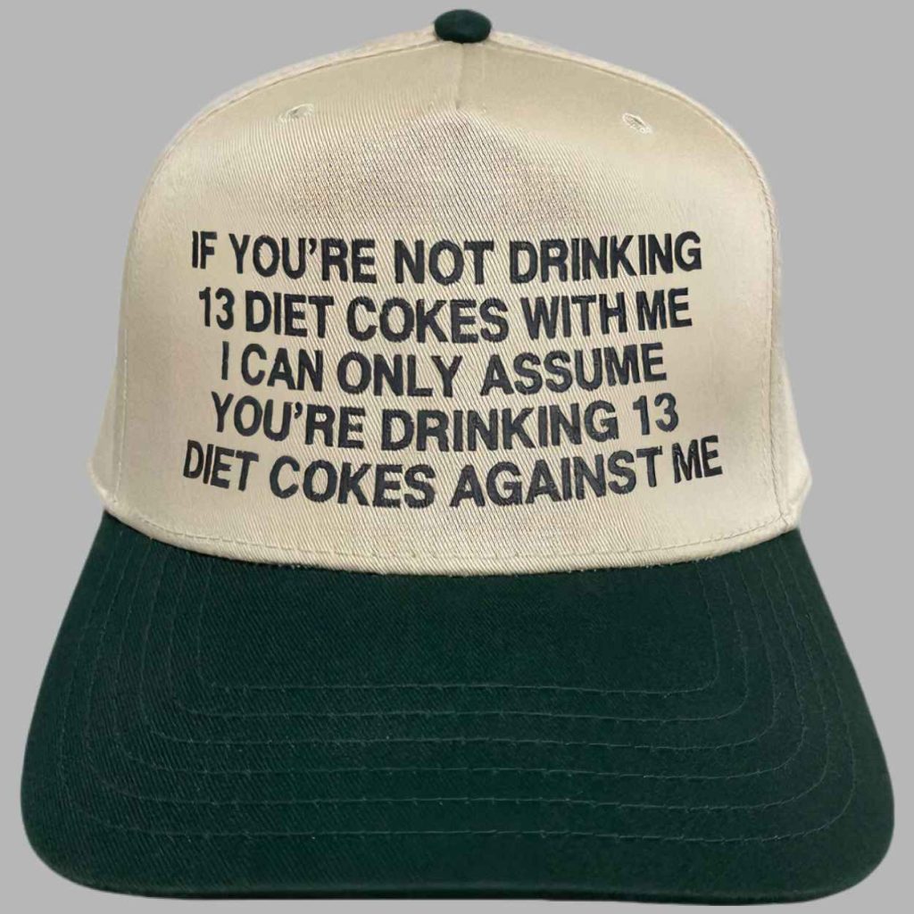 If Youre Not Drinking 13 DCs With Me I Can Only Assume Youre Drinking 13 DCs Against Me Hat 3