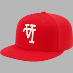 Upside Down Dodgers Hat