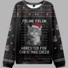 The Arrested Cat Ugly Christmas Sweater 2