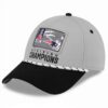 2025 Patriots AFC East Division Hat 1