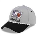 Bears 2025 NFC North Division Champions Hat