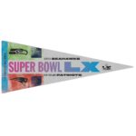 Seahawks Vs Patriots SB LX Pennant Flag