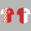 2026 Tigers Polish American Heritage Jersey Giveaway 2
